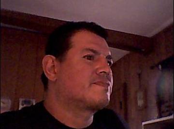 Image thumbnail of Gay bears