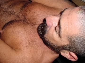 Image thumbnail of Gay bears