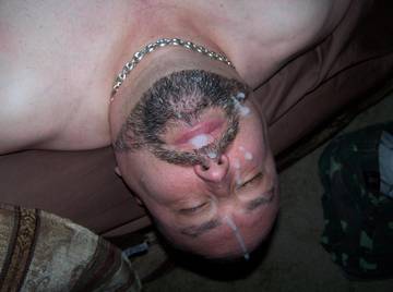 Image thumbnail of Gay bears