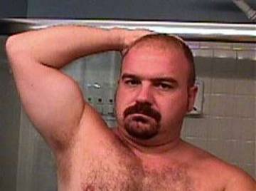 Image thumbnail of Gay bears