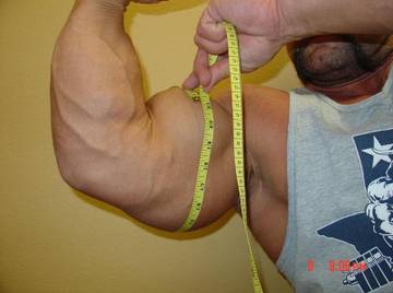 Image thumbnail of Gay bears