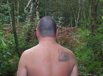 Image thumbnail of Gay bears