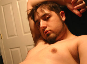 Image thumbnail of Gay bears