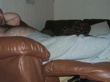 Image thumbnail of Gay bears