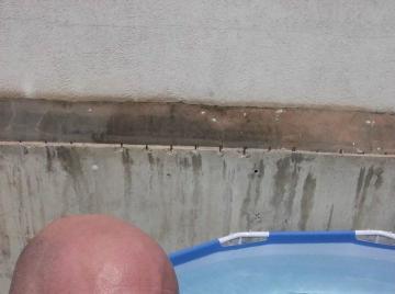 Image thumbnail of Gay bears