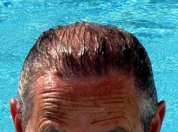 Image thumbnail of Gay bears