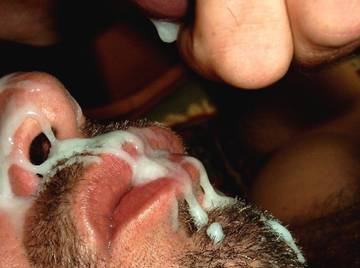 Image thumbnail of Gay bears