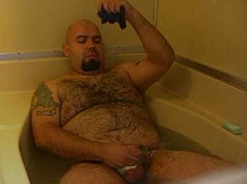 Image thumbnail of Gay bears