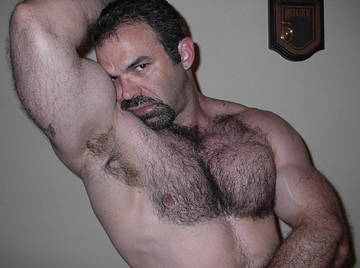 Image thumbnail of Gay bears