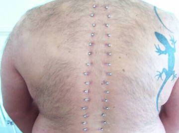 Image thumbnail of Gay bears