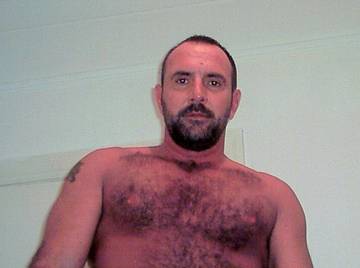 Image thumbnail of Gay bears