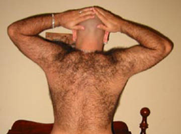 Image thumbnail of Gay bears