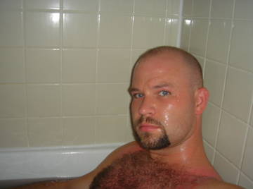 Image thumbnail of Gay bears