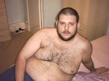 Image thumbnail of Gay bears