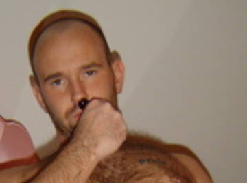 Image thumbnail of Gay bears