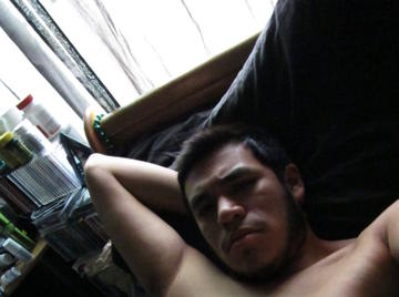 Image thumbnail of Gay bears