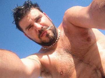 Image thumbnail of Gay bears