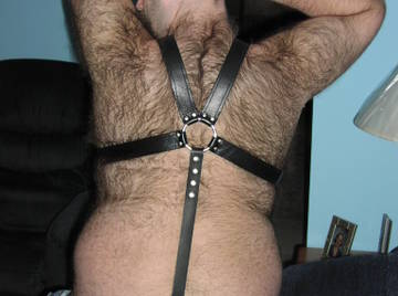 Image thumbnail of Gay bears