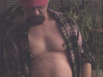 Image thumbnail of Gay bears