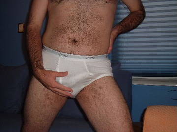 Image thumbnail of Gay bears