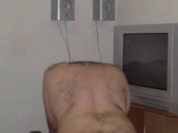 Image thumbnail of Gay bears