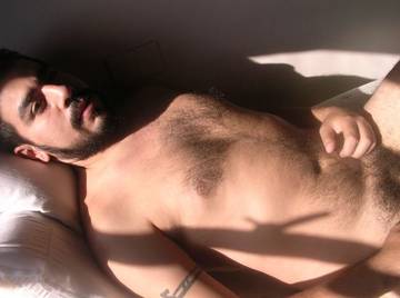 Image thumbnail of Gay bears