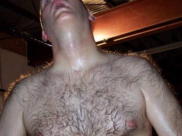 Image thumbnail of Gay bears