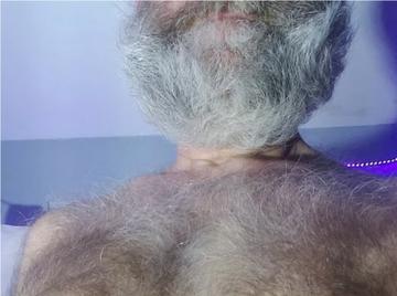 Image thumbnail of Gay bears