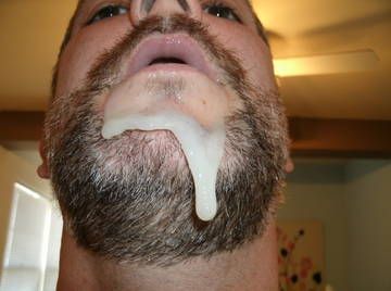 Image thumbnail of Gay bears