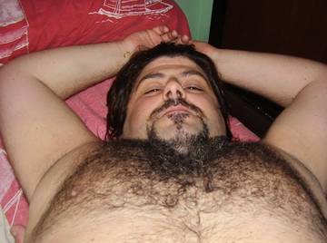 Image thumbnail of Gay bears