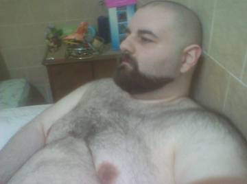 Image thumbnail of Gay bears