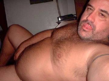 Image thumbnail of Gay bears