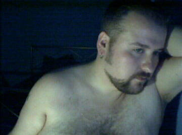 Image thumbnail of Gay bears