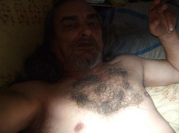 Image thumbnail of Gay bears