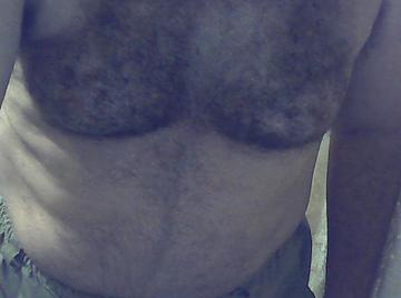 Image thumbnail of Gay bears