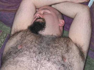 Image thumbnail of Gay bears