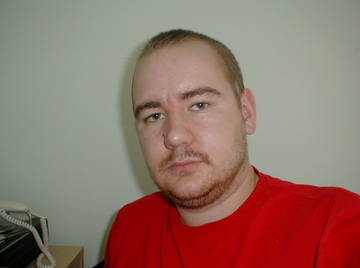 Image thumbnail of Gay bears