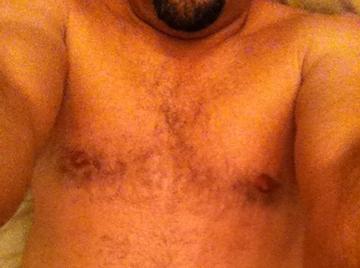 Image thumbnail of Gay bears