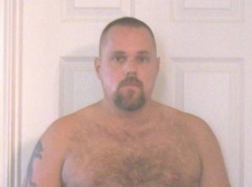 Image thumbnail of Gay bears