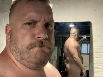 Image thumbnail of Gay bears