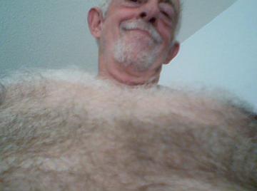 Image thumbnail of Gay bears