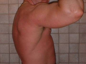 Image thumbnail of Gay bears