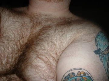 Image thumbnail of Gay bears