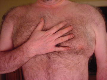 Image thumbnail of Gay bears