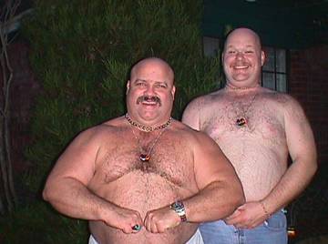 Image thumbnail of Gay bears