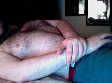 Image thumbnail of Gay bears