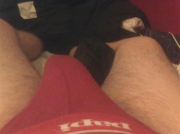 Image thumbnail of Gay bears