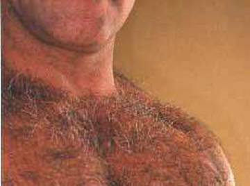 Image thumbnail of Gay bears