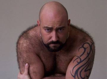 Image thumbnail of Gay bears