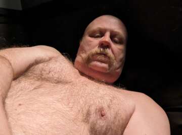 Image thumbnail of Gay bears